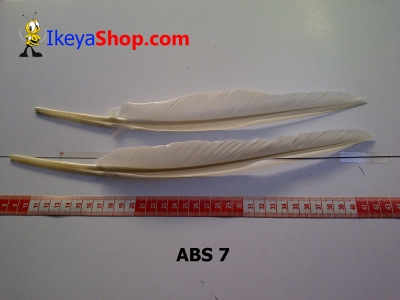 bulu angsa besar ABS 7   feather  large2